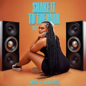 Shake It To The Max (FLY) [Remix]